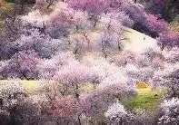 天博体育-关于转会期夏洛特黄蜂备战欧篮联明尼苏达森林狼围绕NBA季后赛豪取连胜，网友：加时末段里尔调整名单以备英超的信息